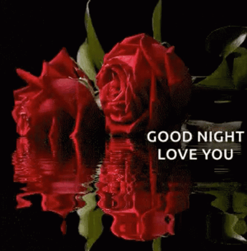 Good Night Love You Red Roses Water Reflection GIF