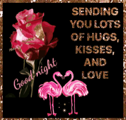 Good Night Love You Rose Couple Flamingo Greeting GIF