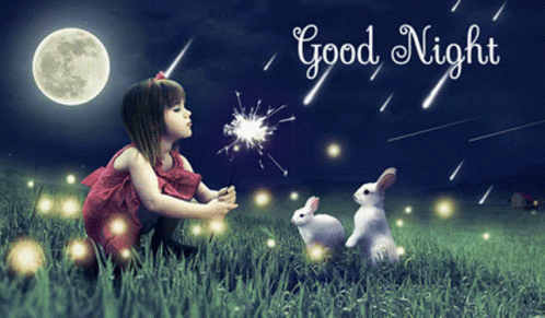 Good Night Meteor Shower Cartoon GIF