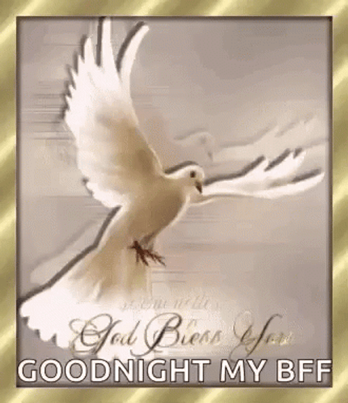 Good Night My Friend And God Bless GIF
