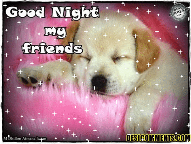 Good Night My Friends Sleeping Puppy GIF