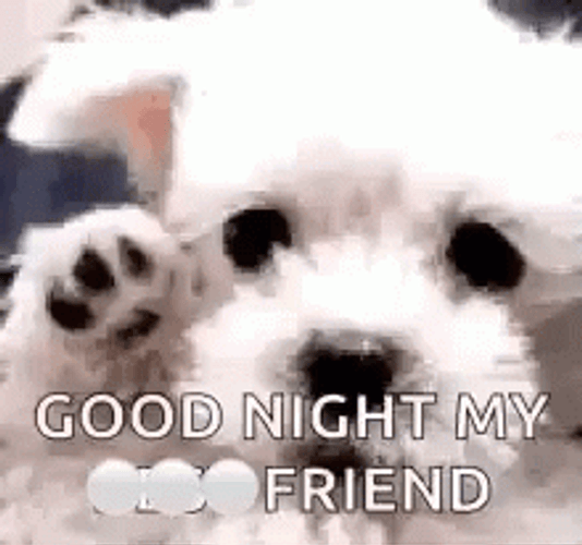 Good Night My Friends Waving Puppy Clip Art GIF