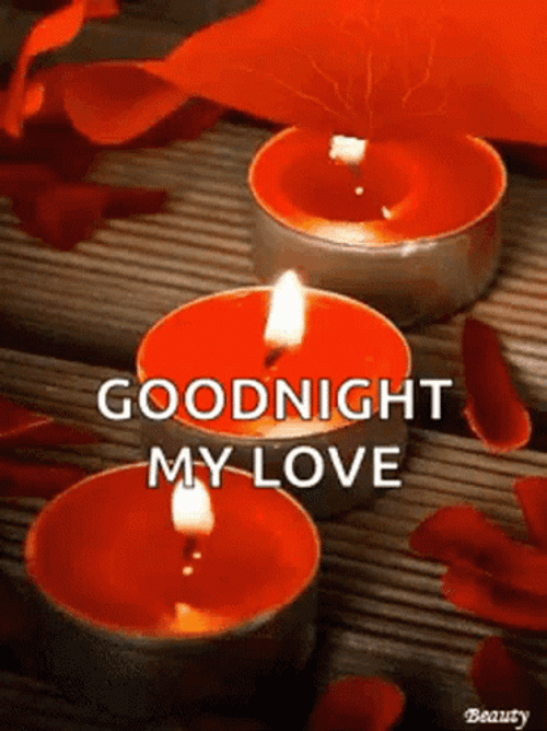 Good Night My Love Falling Rose Petals GIF