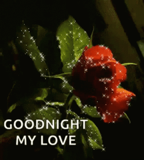 Good Night My Love Sparkling Red Rose GIF