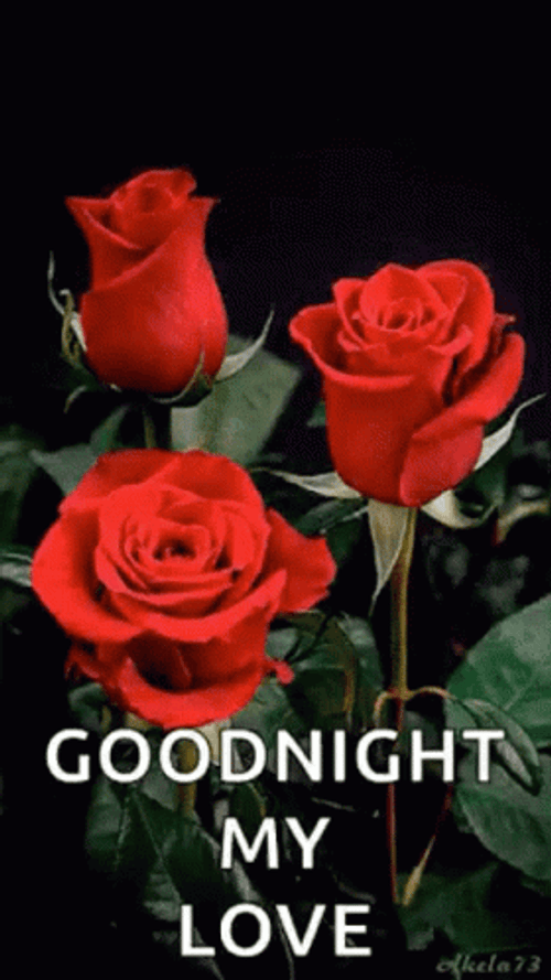Good Night My Love Three Red Roses GIF