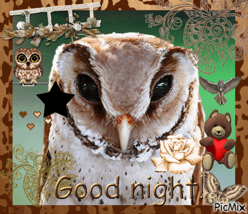 Good Night Owl GIF