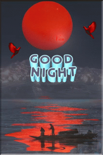 Good Night Poster