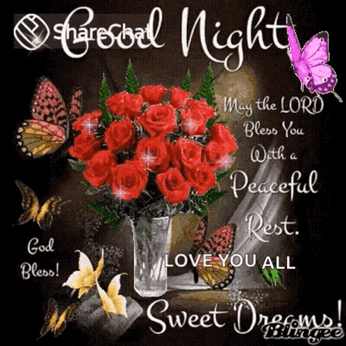 Good Night Praying For Blessings And Peace GIF