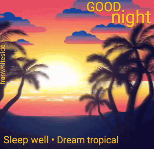 Good Night Sleep Well Dream Tropical Poster