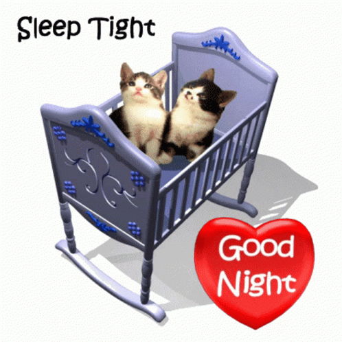 Good Night Sleep Well Two Kittens GIF
