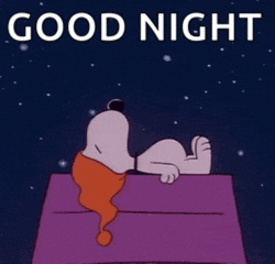 Good Night Snoopy Meme GIF