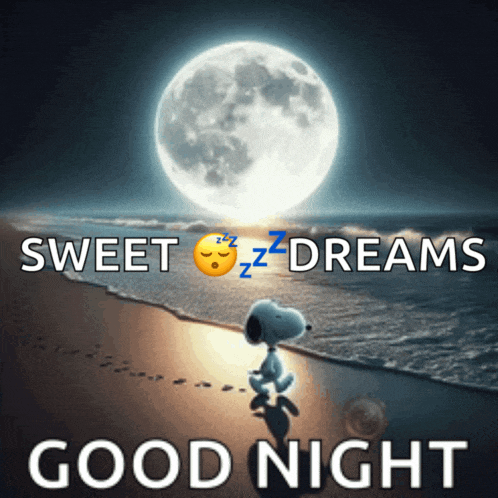 Good Night Snoopy Meme GIF
