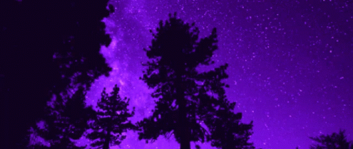 Good Night Stars Purple Aesthetic GIF