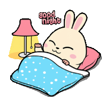 Good Night Sticker GIF
