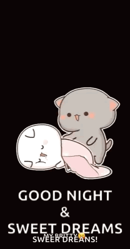Good Night Sweet Dreams Cats