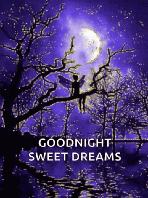 Good Night Sweet Dreams Majestic Moon GIF