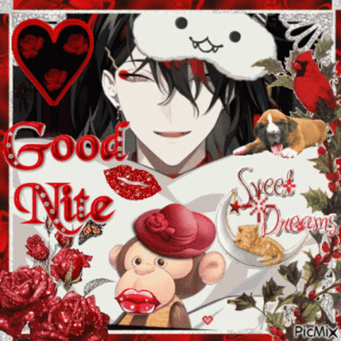 Good Night Sweet Dreams Monkey and Dog