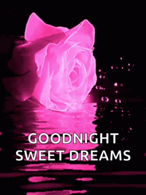 Good Night Sweet Dreams Neon Rose GIF