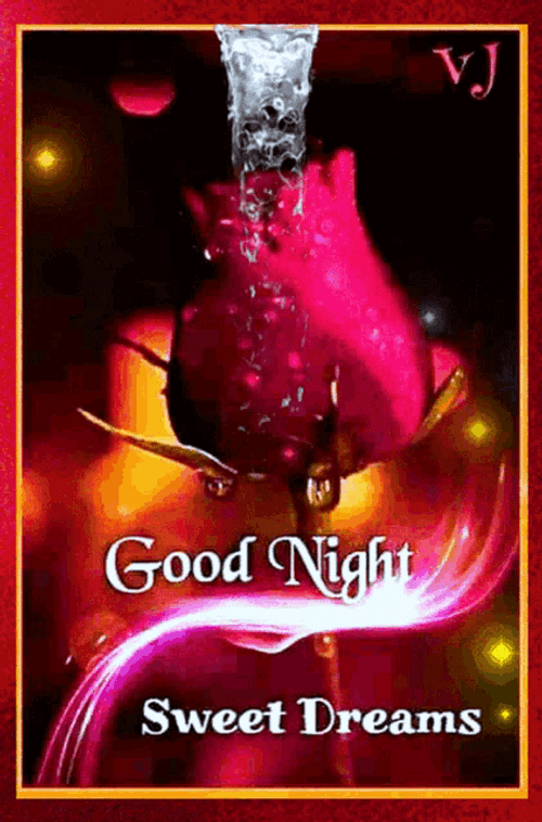 Good Night Sweet Dreams Pink Rose GIF