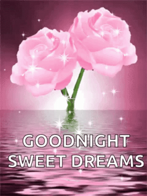 Good Night Sweet Dreams Pink Roses GIF