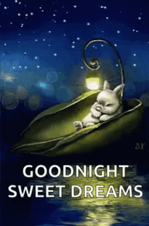 Good Night Sweet Dreams Sleeping Bunny GIF