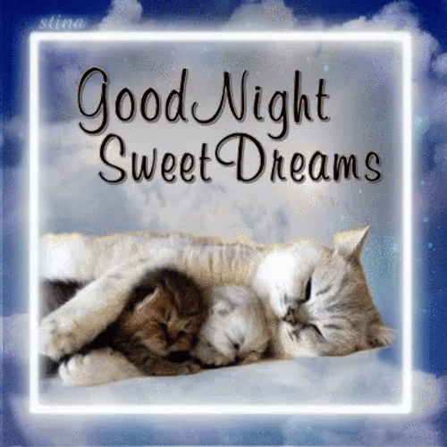 Good Night Sweet Dreams Sleeping Kittens GIF