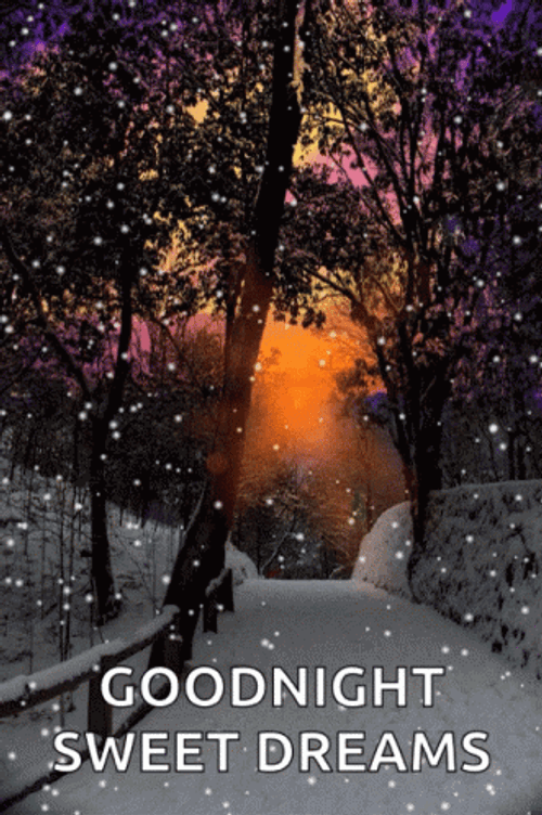 Good Night Sweet Dreams Snowy Day GIF