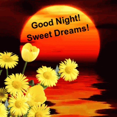 Good Night Sweet Dreams Sunset View GIF