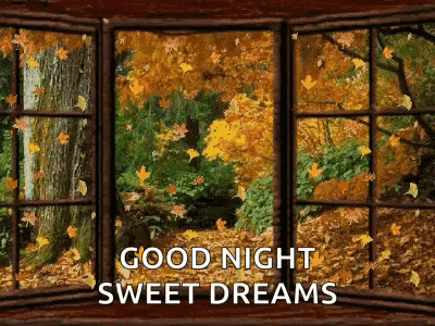Good Night Sweet Dreams Window