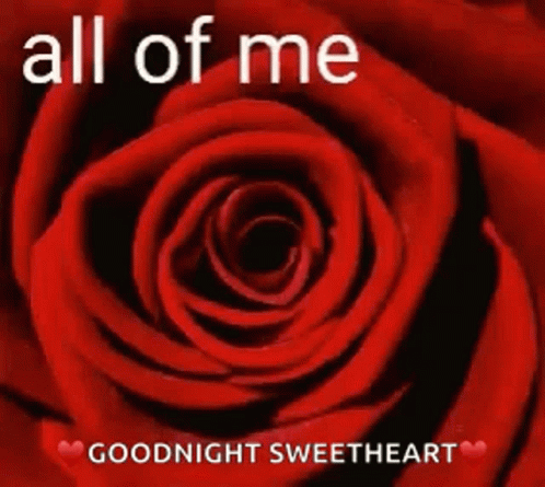 Good Night Sweetheart All Of Me GIF