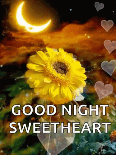 Good Night Sweetheart Sunflower Bubble Hearts GIF