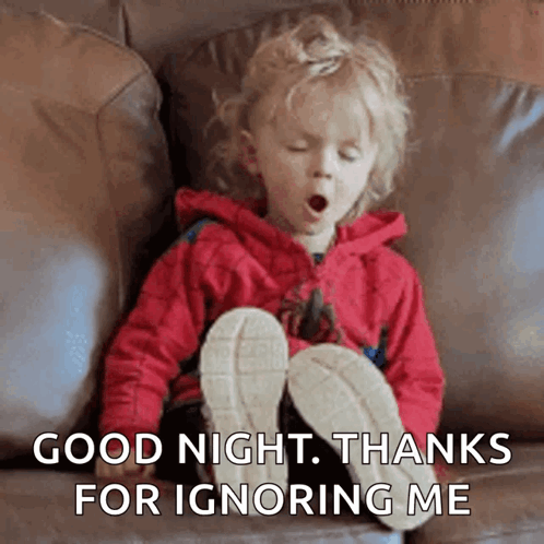 Good Night Thanks For Ignoring Me GIF