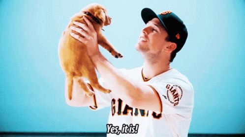 Good Puppy Baby Giants GIF
