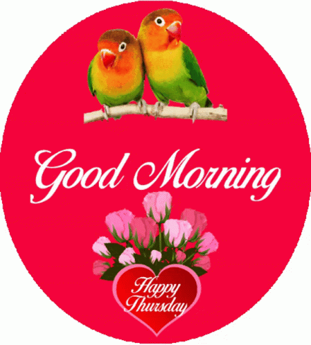 Good Thursday Morning Love Birds GIF