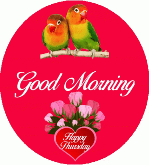 Good Thursday Morning Love Birds GIF