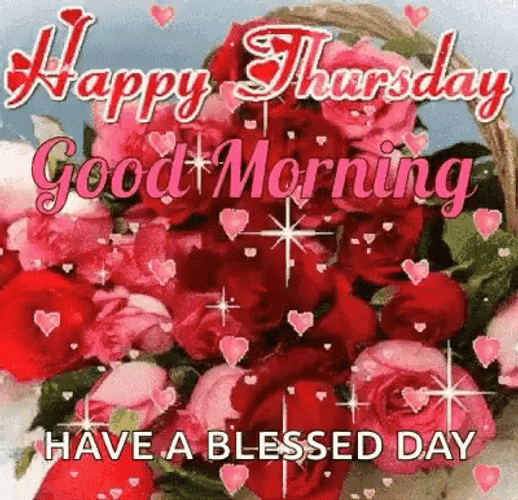 Good Thursday Morning Red Pink Roses GIF