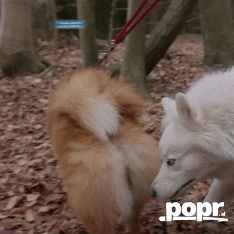 Good To Connect Here On Linkedin GIF