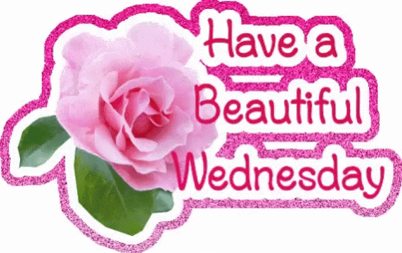 Good Wednesday Beautiful Morning Digital Design GIF