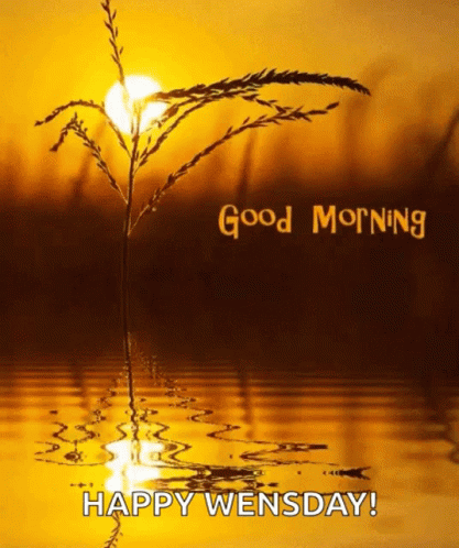 Good Wednesday Morning Sunrise Lake Reflection GIF