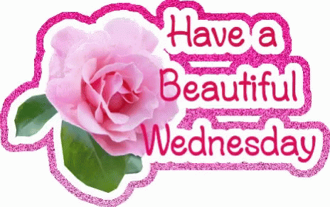 Good Wednesday Beautiful Morning Digital Design GIF