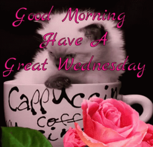 Good Wednesday Morning 498 X 480 Gif GIF