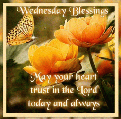 Good Wednesday Morning Blessings Yellow Flowers GIF