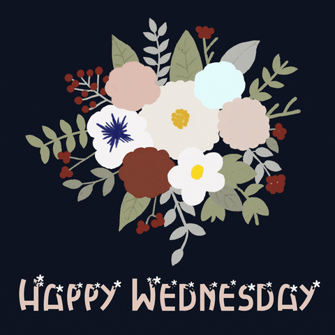 Good Wednesday Morning Cartoon Bouquet GIF