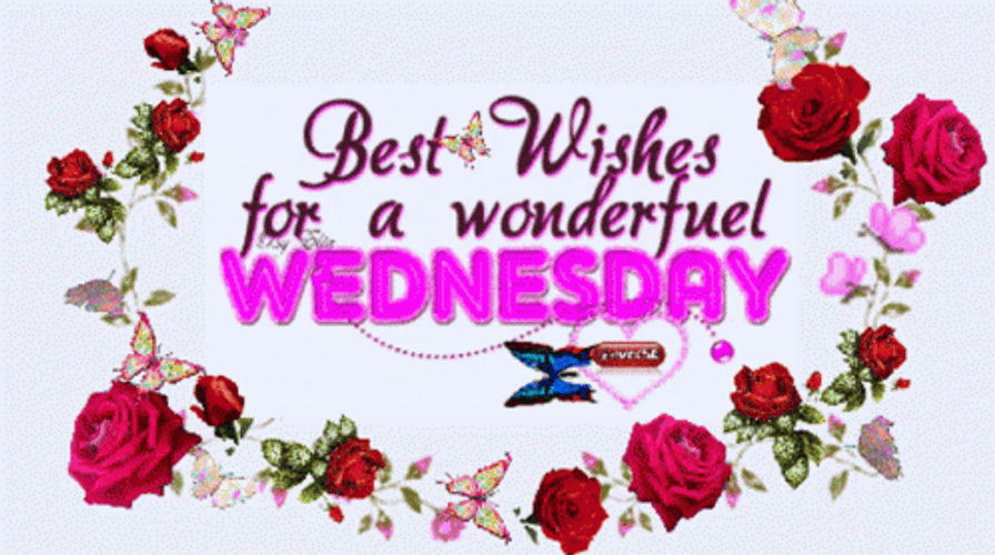 Good Wednesday Morning Colorful Butterflies GIF