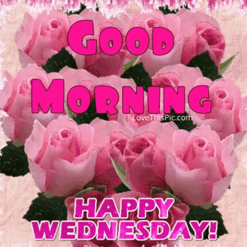Good Wednesday Morning Pink Blooms GIF