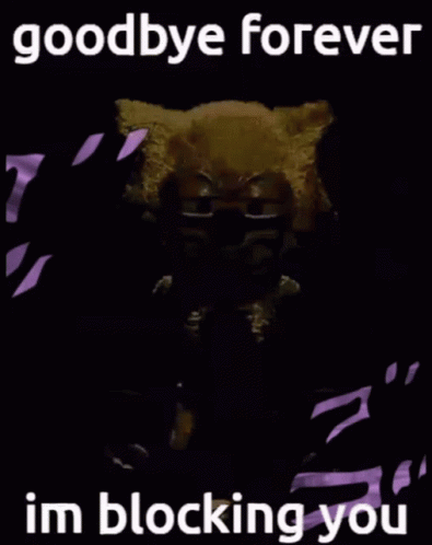 Goodbye Forever I'm Blocking You GIF