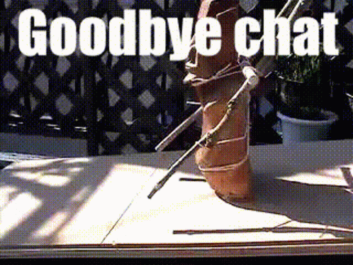 Goodbye Meme Chat Weird Moves GIF