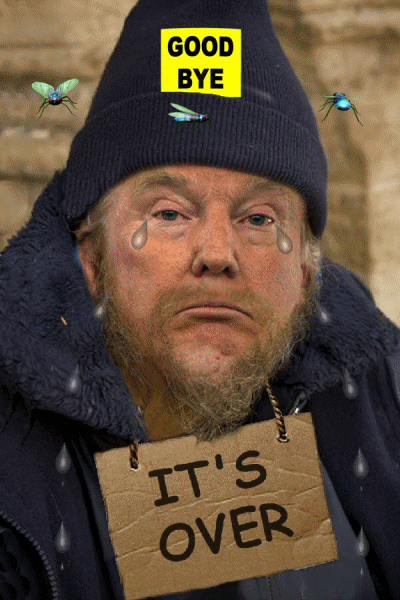 Goodbye Trump It's Over GIF
