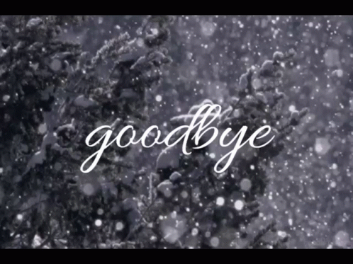 Goodbye Written on Snowy Surface