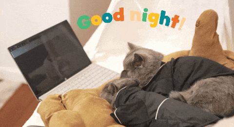 Goodnight Cat In Front Of Laptop GIF